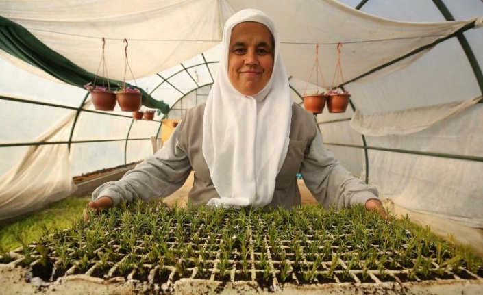Bursa Nilüfer kendi bitkisini üretiyor