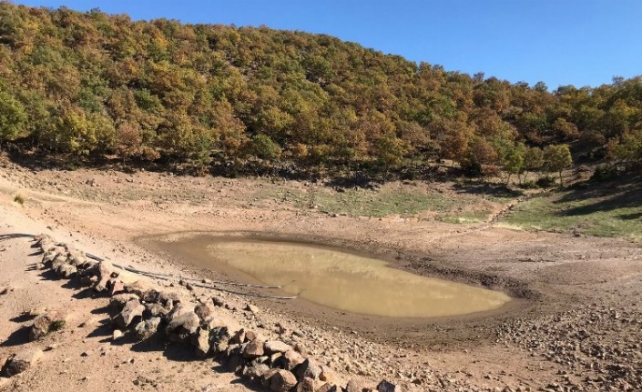 Manisa Demirci'de gölet temizliği yapıldı 