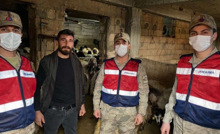 Adıyaman'da kaçırılan 160 koyun Gaziantep'te bulundu 