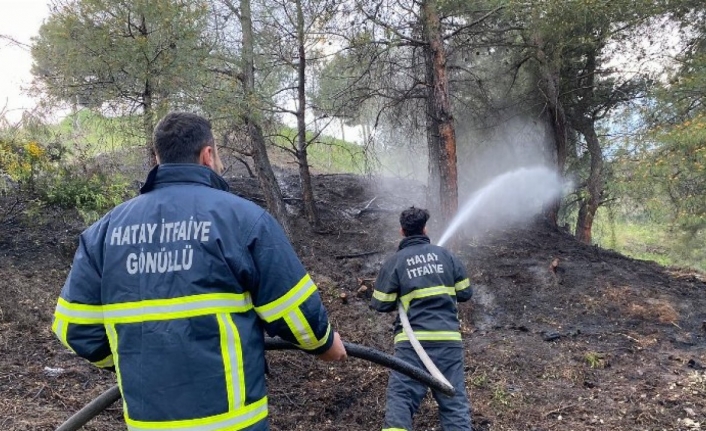 Hatay'daki orman yangını gönüllü itfaiyeciler söndürdü