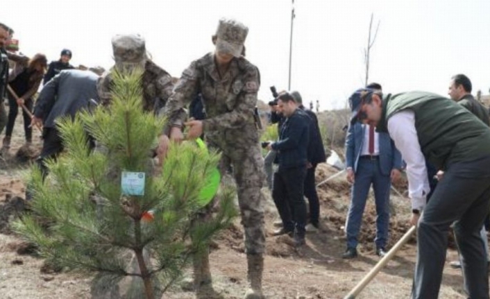 Sivas'ta 'Polis Hatıra Ormanı' oluşturuldu