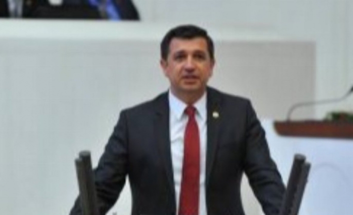 CHP'li Gaytancıoğlu : Çeltikte fiyat ve alım  garantisi verilsin 