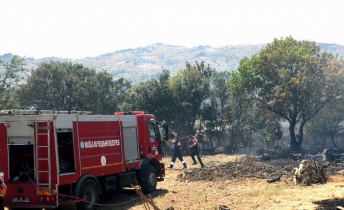 Muğla Büyükşehir ekiplerinden yangına topyekün müdahale