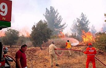 Hatay orman yangınları belgesel oldu