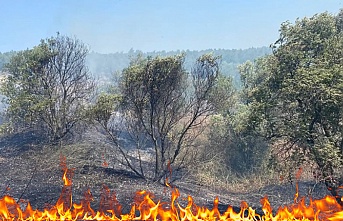 Bursa Mustafakemalpaşa'da çıkan orman yangına zamanında müdahale