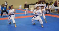Dev Karate Şampiyonası Gemlik'te Yapıldı
