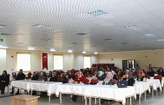 Kayseri'de Huzur Çınarı'na 350 bin başvuru