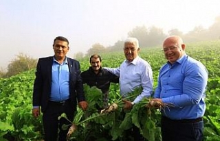 Başkan Gürün: "Muğla'da toprak işlensin"