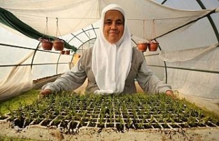 Bursa Nilüfer kendi bitkisini üretiyor