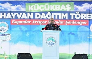 Kayseri'de hayvancılığa Büyükşehir desteği