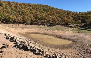 Manisa Demirci'de gölet temizliği yapıldı...
