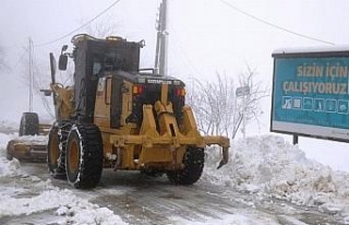 Bursa'nın yükseklerinde karla mücadele