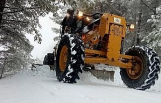Aydın'da karla mücadele devam ediyor 
