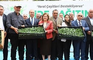 Gaziantep Büyükşehirden tarımsal üretime 2 milyon...