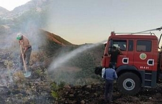 Bingöl’de 3 köyde korkutan yangın
