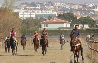 Rahvan atları Bursa'da şampiyonluğa koştu