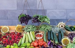 Kayseri'de 'organik tarım' eğitimi